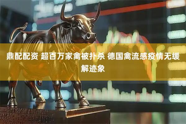 鼎配配资 超百万家禽被扑杀 德国禽流感疫情无缓解迹象