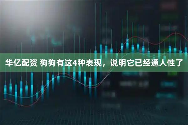 华亿配资 狗狗有这4种表现，说明它已经通人性了
