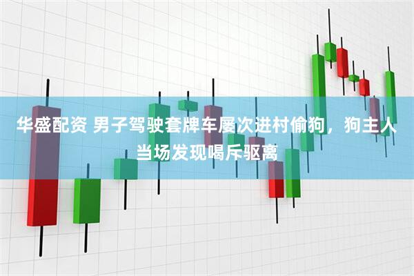 华盛配资 男子驾驶套牌车屡次进村偷狗，狗主人当场发现喝斥驱离
