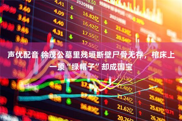 声优配音 徐茂公墓里残垣断壁尸骨无存，棺床上一顶“绿帽子”却成国宝