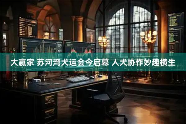 大赢家 苏河湾犬运会今启幕 人犬协作妙趣横生