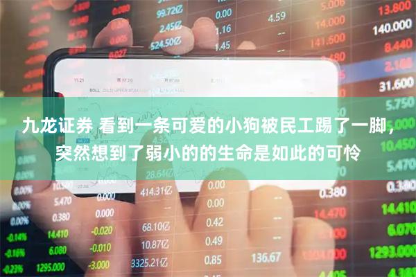九龙证券 看到一条可爱的小狗被民工踢了一脚，突然想到了弱小的的生命是如此的可怜