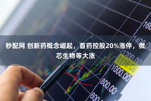 秒配网 创新药概念崛起，首药控股20%涨停，微芯生物等大涨
